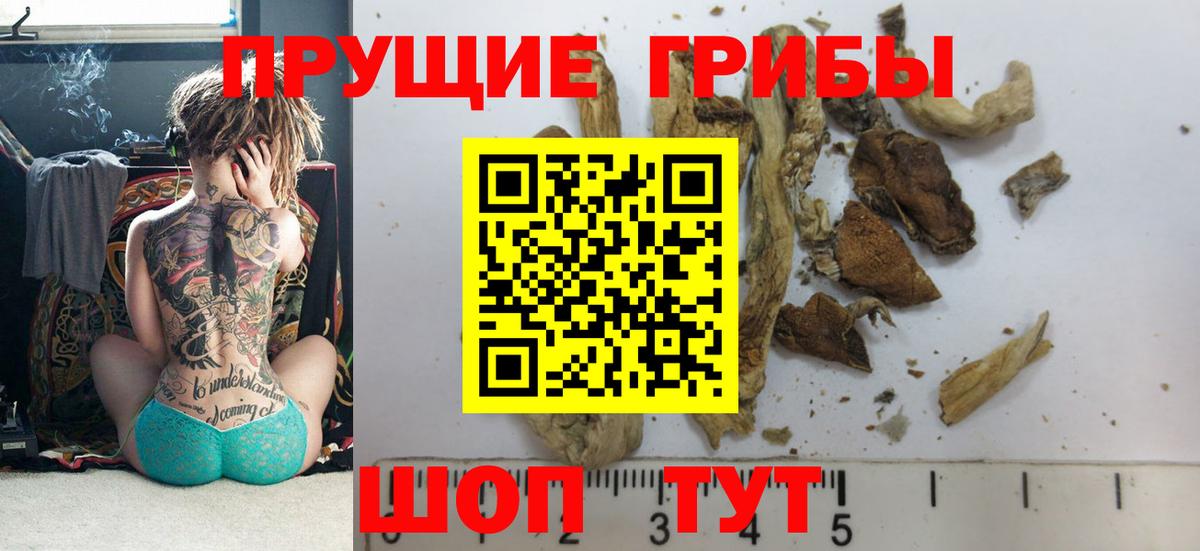 Галлюциногенные грибы Psilocybine cubensis  Псилоцибиновые грибы Psilocybe  Вход с VPN  Новокузнецк 