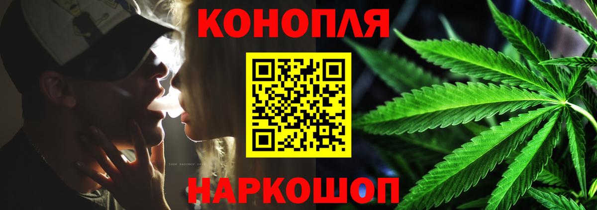 Бошки Шишки план Новокузнецк